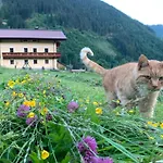 Alpen Oberlehengut *