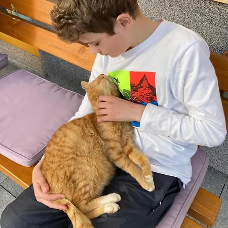 Alpen Oberlehengut Appartement *