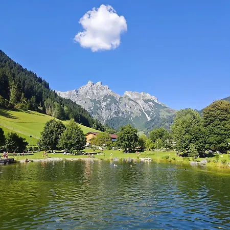 Alpen Oberlehengut - Keine Haustiere - Allergikerfreundlich Apartmán Werfenweng