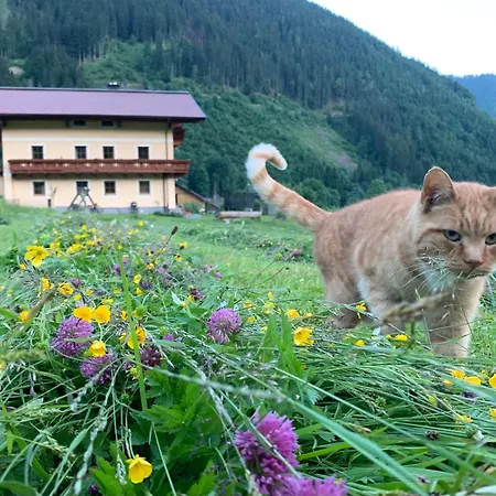 Alpen Oberlehengut *