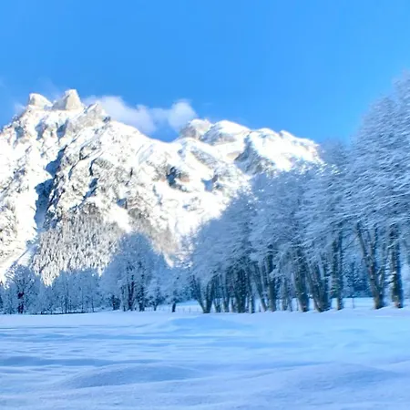 Alpen Oberlehengut
