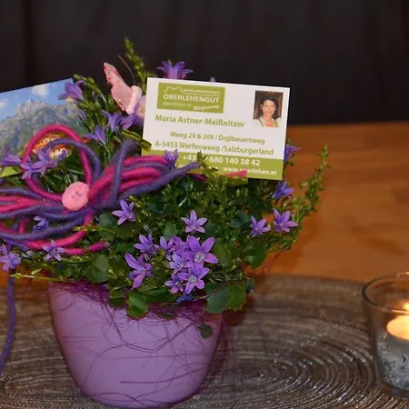 Alpen Oberlehengut *