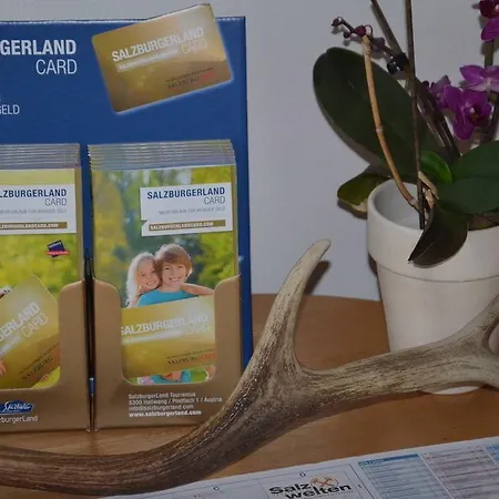 Alpen Oberlehengut Apartament Werfenweng