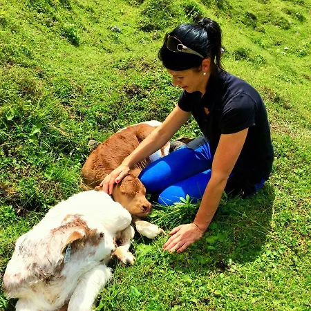 Alpen Oberlehengut *