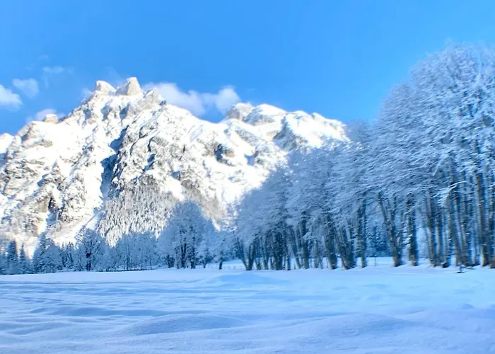 Alpen Oberlehengut