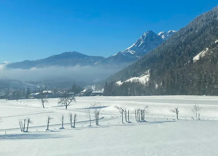 Alpen Oberlehengut 公寓 维尔芬翁