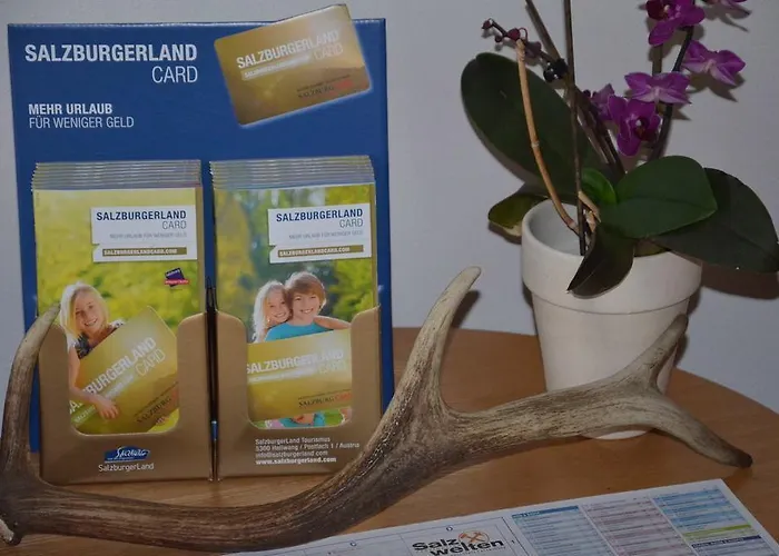 Alpen Oberlehengut アパート ヴェルフェンヴェンク